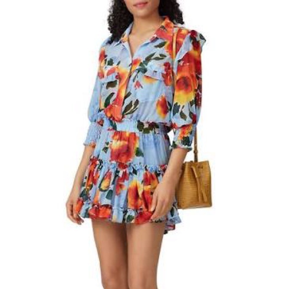 $300 MISA Los Angeles size XS  ENYA Sheer Floral Mini Dress - Picture 1 of 10